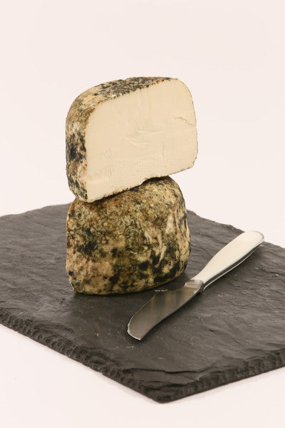 Ricotta Scorza Nera | Cave-Aged Organic Sheep's Ricotta | Marcelli