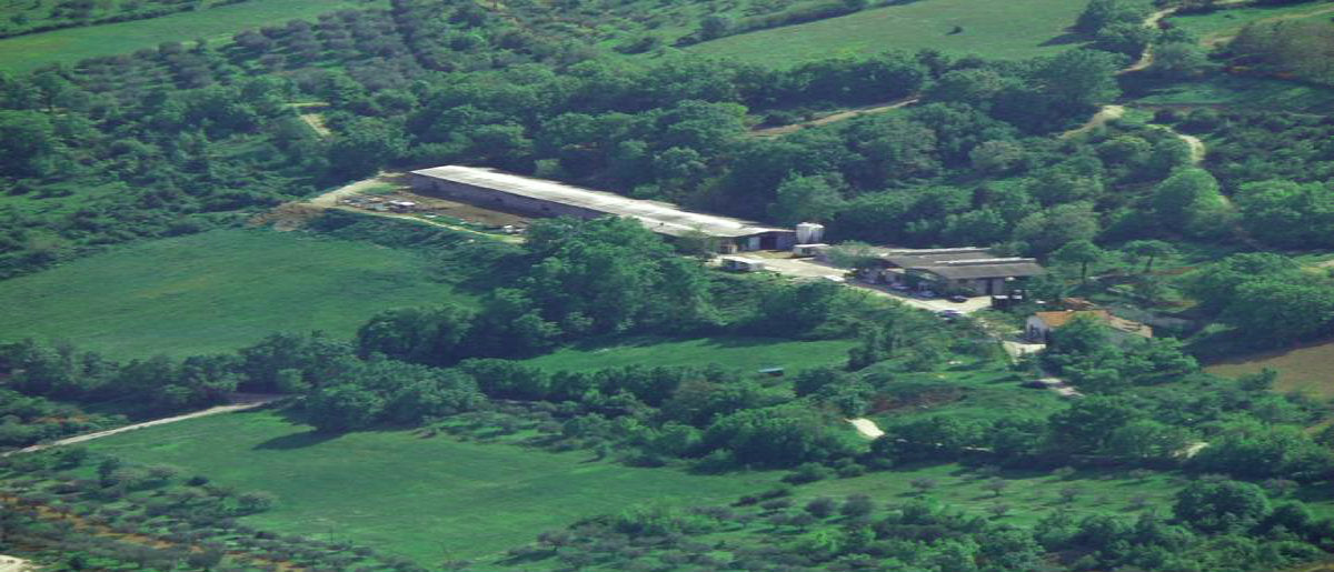 La Porta deiParchi - Our Farm