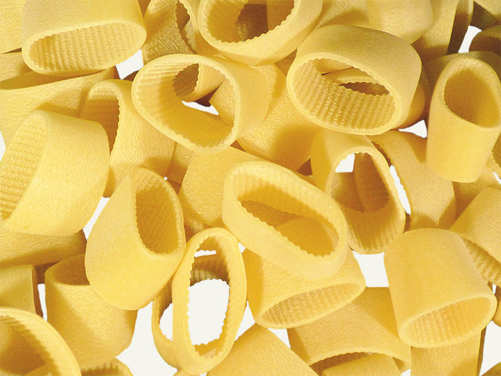 MASCIARELLI BRONZE CUT ANELLONI