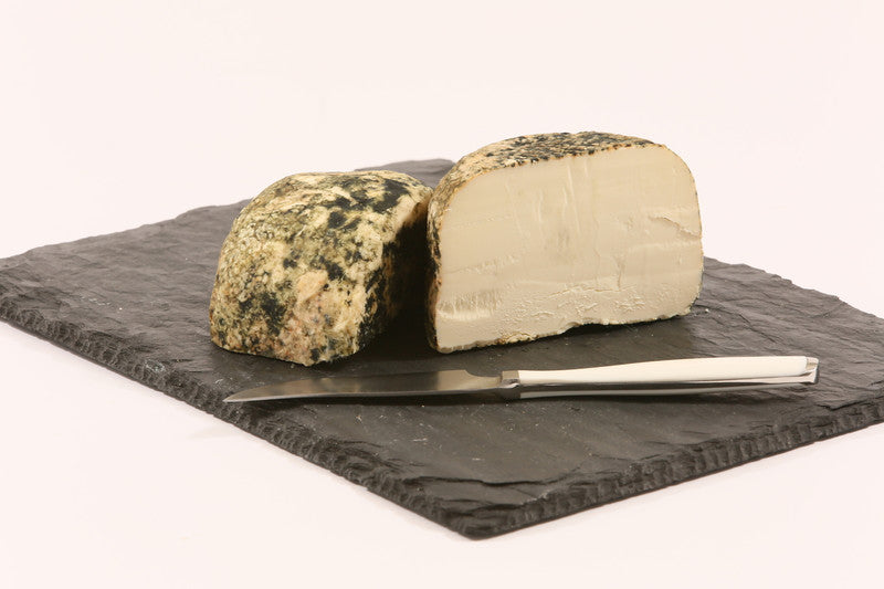 Cave-Aged Ricotta Scorza Nera