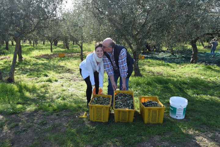 2024 Harvest Olio Fresco