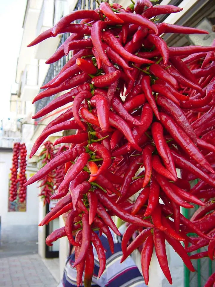 Luca Finocchio Miele Peperoncino – Chili Pepper Honey