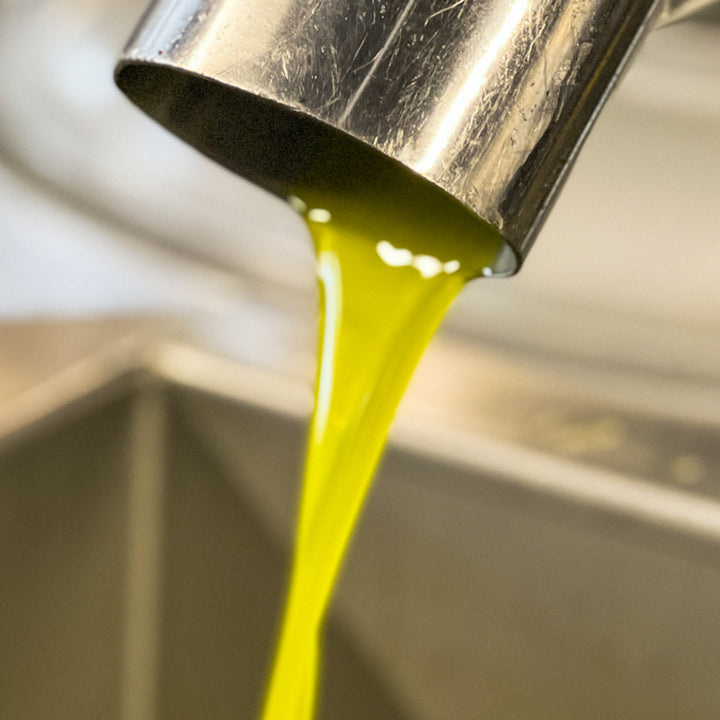 PRE-ORDERS NOW OPEN! BRAND NEW 2025 HARVEST OLIO FRESCO 500ml