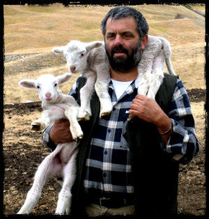 Adopt A Sheep Gift Program
