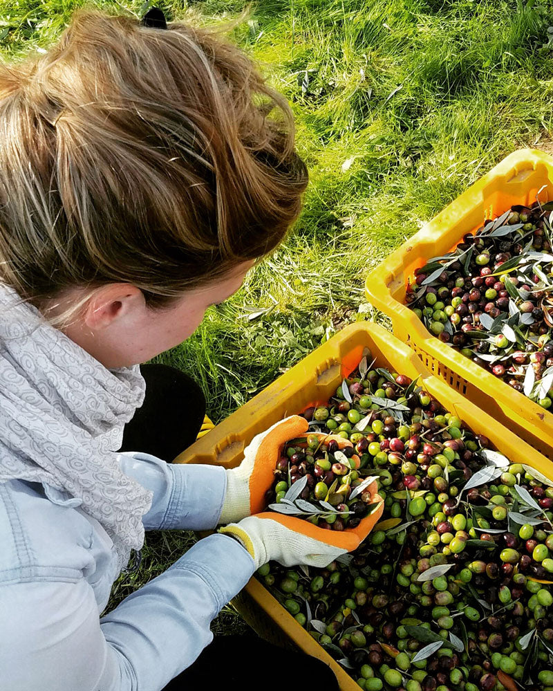 Tina Marcelli with fresh olives